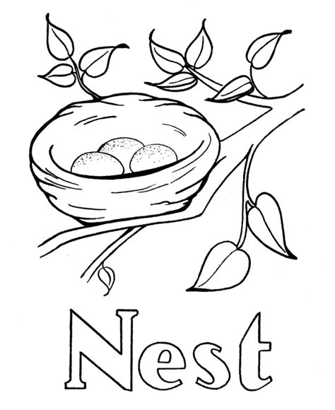 N Is For Nest Coloring Pages Free Amp N Is For Coloring Page - N Is For Coloring Page
