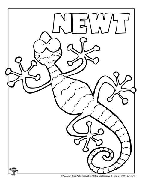 N Is For Newt Coloring Page Free Printable N Is For Coloring Page - N Is For Coloring Page