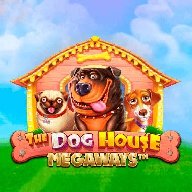 n1 casino doghouse iosg canada