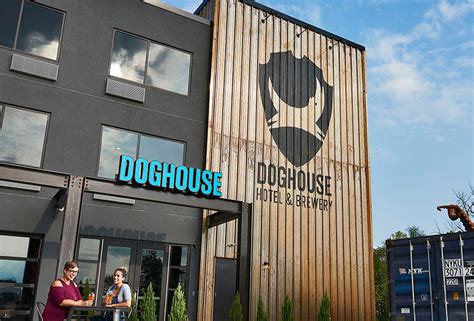 n1 casino doghouse luxembourg
