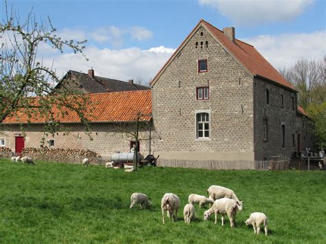 naamse steen