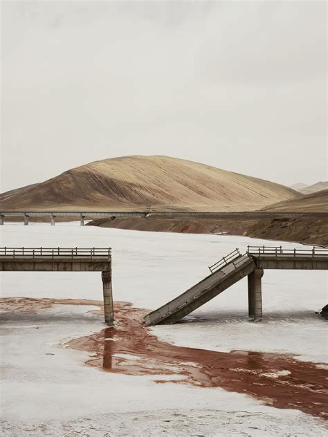 nadav cander biography examples