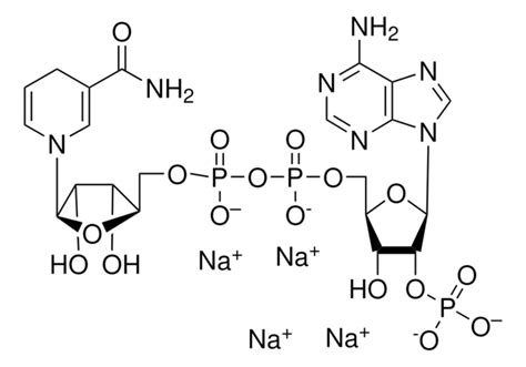 Nadph