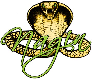 Nagin Logo