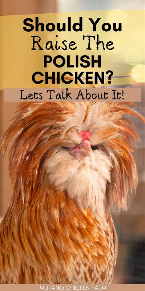 nail polish BackYard Chickens - Learn How to Raise Chickens