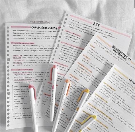Najaarsdroom Study Notes