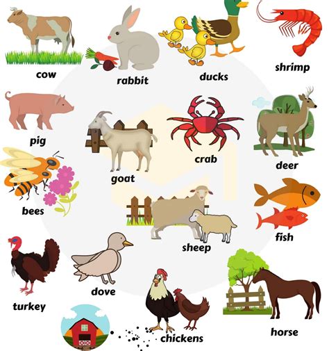 nama hewan dalam bahasa inggris