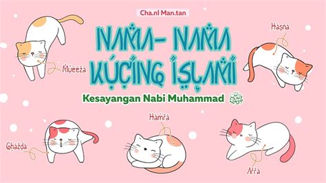 nama kucing nabi muhammad