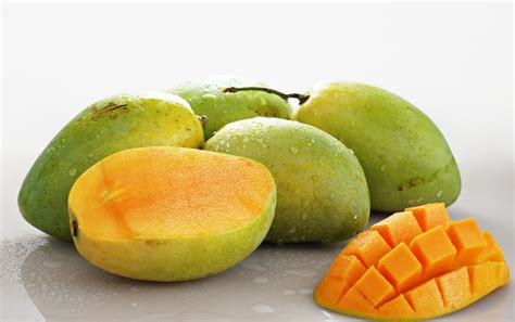 nama latin buah mangga