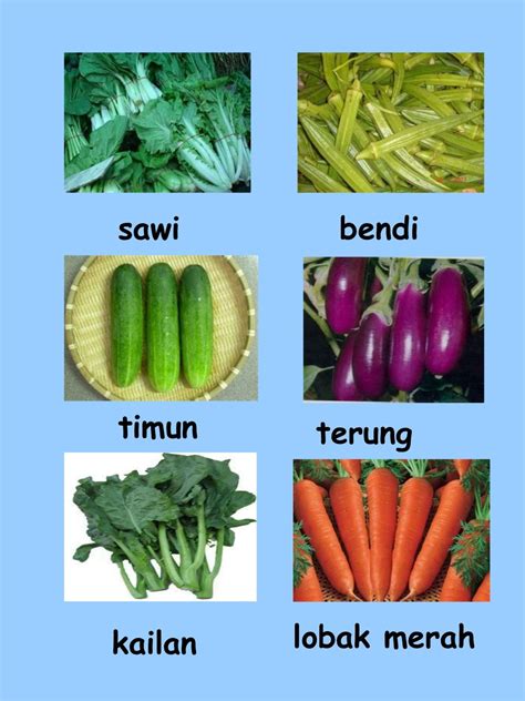 nama nama sayuran