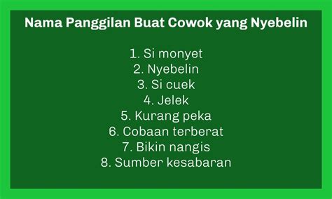 NAMA PANGGILAN BUAT COWOK YANG NYEBELIN 🍢 96 Ide Nama Kontak Pacar Aesthetic, Unik, dan Humoris