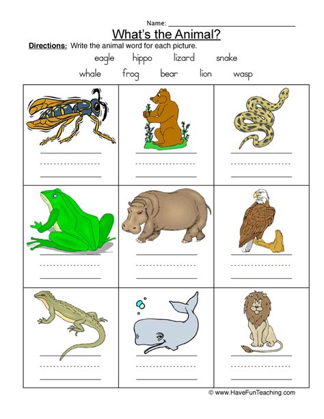 Name These Animals Worksheet Free Printables Online Preschool Animal Worksheets - Preschool Animal Worksheets