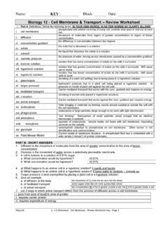 Full Download Name Block Date Mr Gallants Classes Homework 