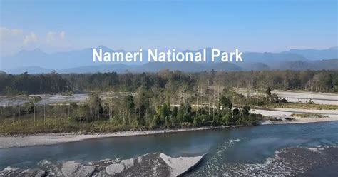 Nameri National Park And Forest Reserve