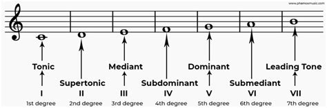 Names Of Scale Degrees