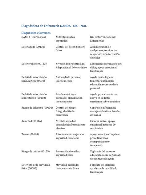 nanda nic noc 2013
