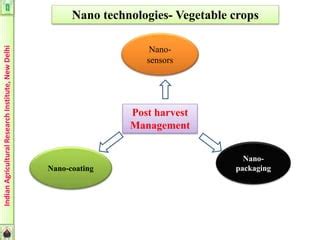 nano post harvest