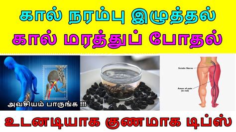 Narambu In English