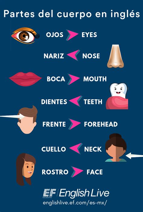 Nariz En Ingles