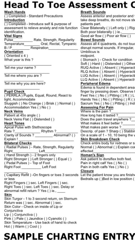 Narrative Charting Head Toe Assessment Example Pneumonia