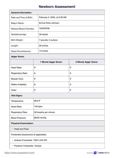 Narrative Newborn Assessment Example