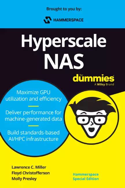 Nas For Dummies