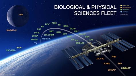 Nasa Biological Amp Physical Sciences A Science Experiment - A Science Experiment