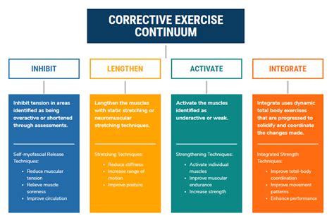 Nasm Corrective Exercise Study Guide
