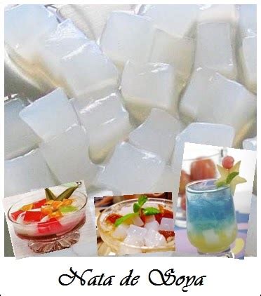 Nata De Soya
