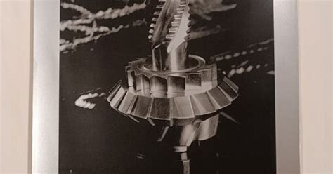 nathalie hambro biography samples