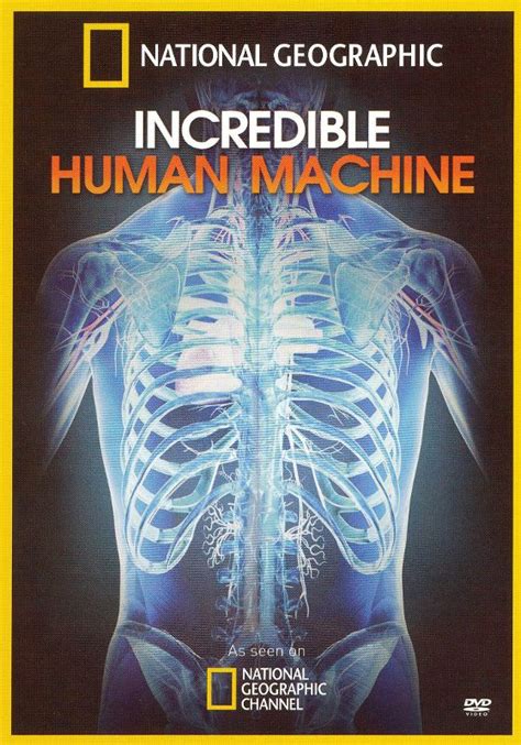 National Geographic The Incredible Human Machine 1986 The Incredible Human Machine Worksheet Answers - The Incredible Human Machine Worksheet Answers