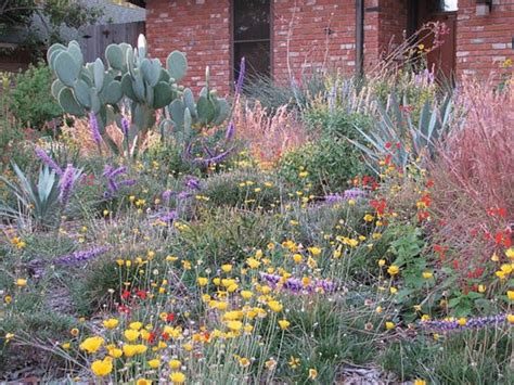 native texas plants