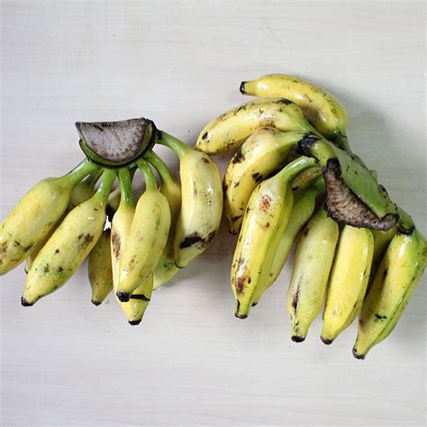 natural bananas