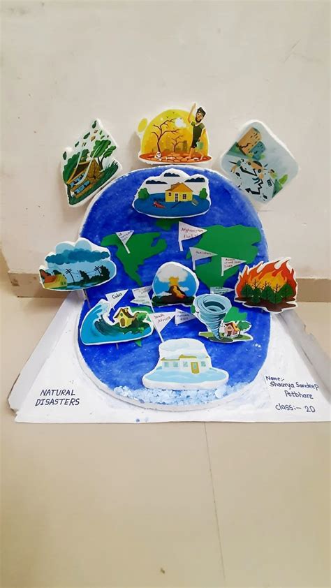 Natural Disasters Project