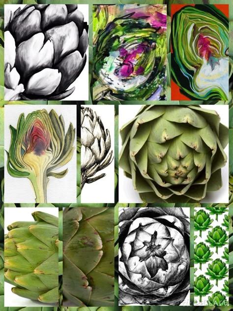 Natural Forms Art