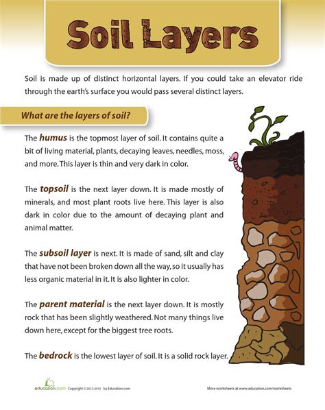 Natural Resources Soil Worksheets 99worksheets Natural Resources Worksheets 1st Grade - Natural Resources Worksheets 1st Grade