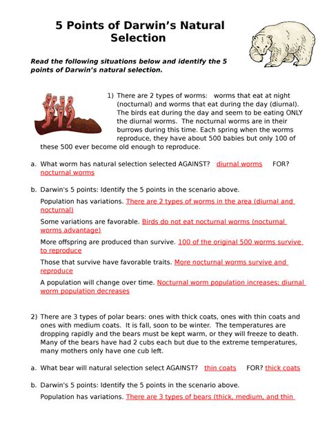 Natural Selection Answer Key