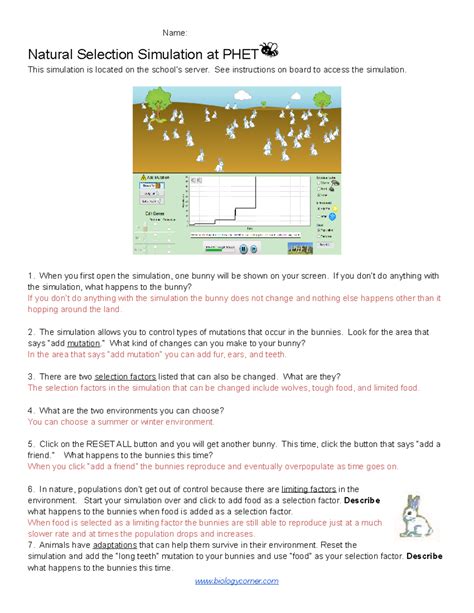 Natural Selection Bunny Simulation Answer Key