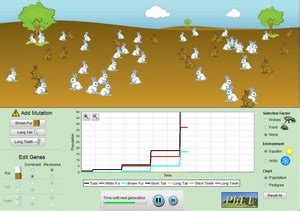 Natural Selection Bunny Simulation Key