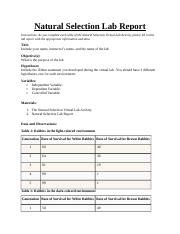 Natural Selection Lab Report 400 Words Studymode Darwin Natural Selection Worksheet Answers - Darwin Natural Selection Worksheet Answers