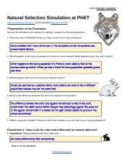 Natural Selection Simulation Answer Key