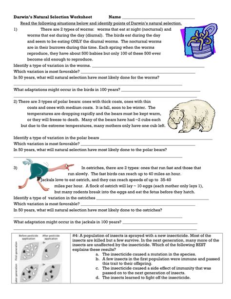 natural selection worksheet answer key