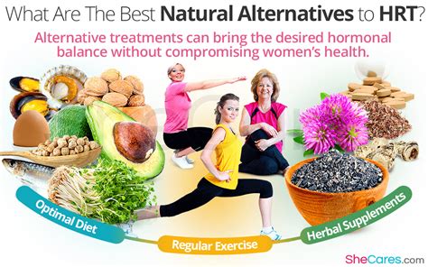 Full Download Natural Choices For Menopause Safe Effective Alternatives To Hormone Replacement Therapy 