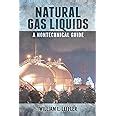 Read Online Natural Gas Liquids A Nontechnical Guide 