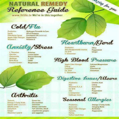 Read Online Natural Remedy Reference Guide 