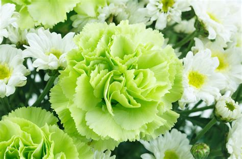 Naturally Green Flowers