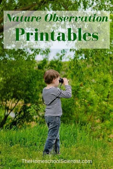Nature Observation Printables The Homeschool Scientist Nature Walk Observation Sheet - Nature Walk Observation Sheet