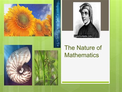 Nature Of Mathematics