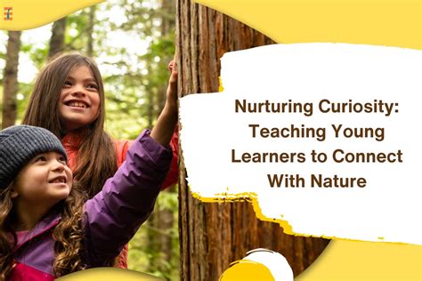 Nature Of Teaching