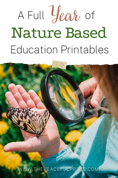 Nature Schooling Books Amp Curriculum For Nature Loving Nature Kindergarten - Nature Kindergarten